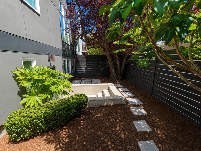 Interior Photo - Ship Street