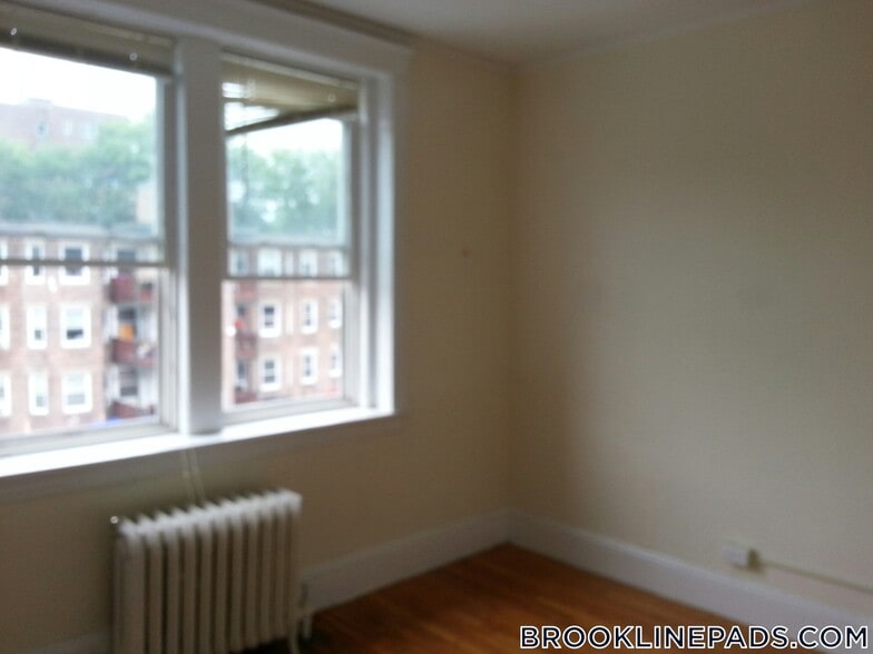 Building Photo - 62 Egmont St