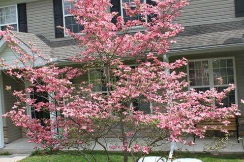 Building Photo - 808 Brushy Mountain Rd