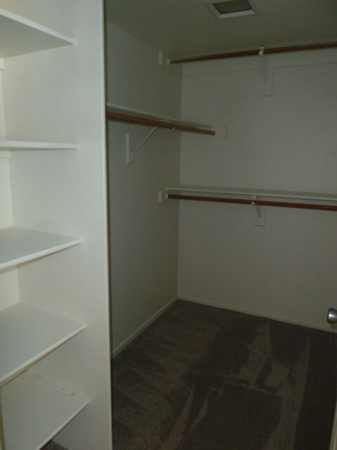 Master Bedroom Closet - 1457 E Renee Dr