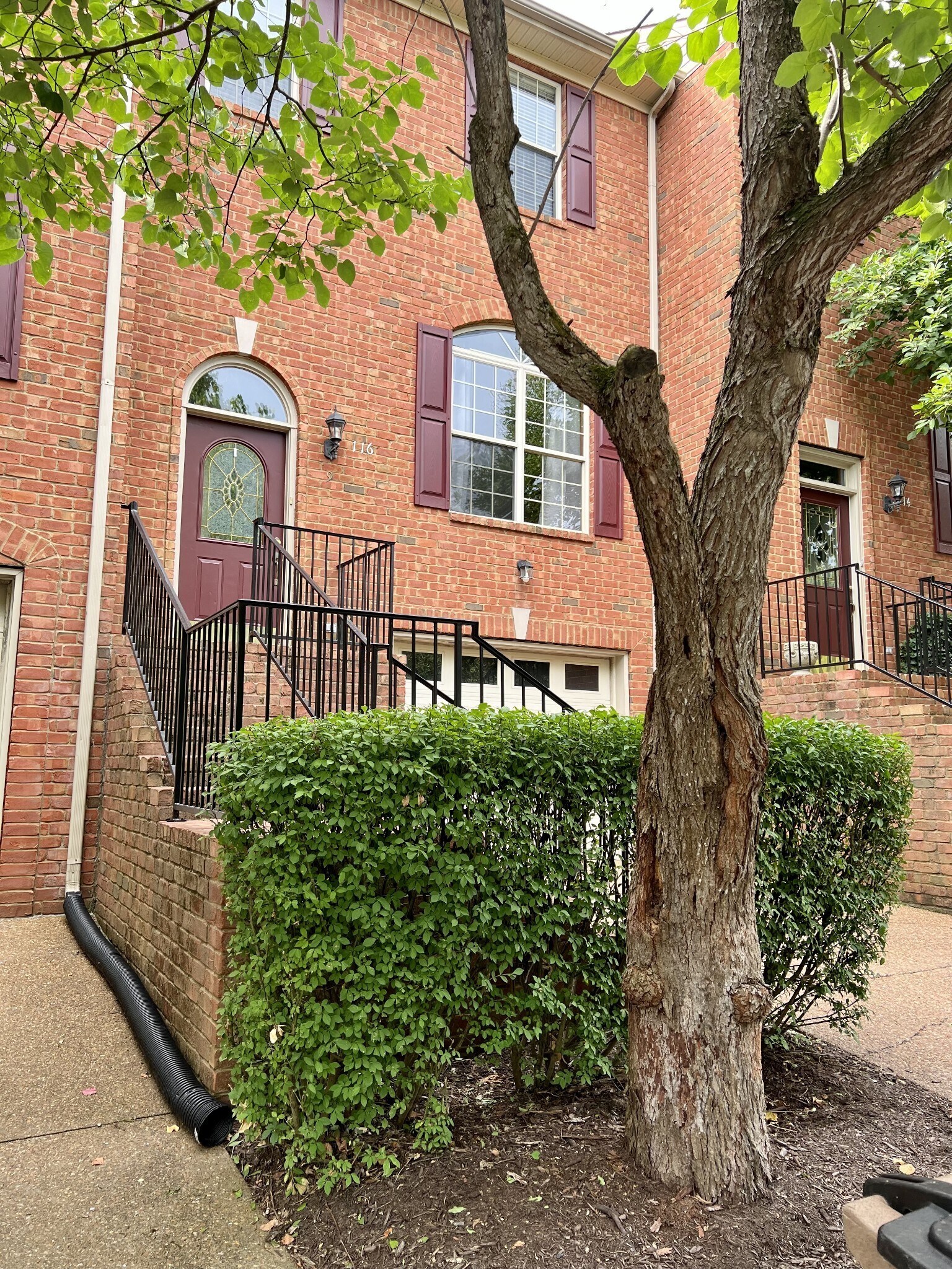 Building Photo - 116 Carriage Ct