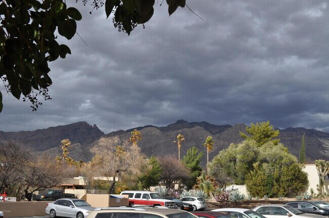 Primary Photo - 5750 N Camino Esplendora