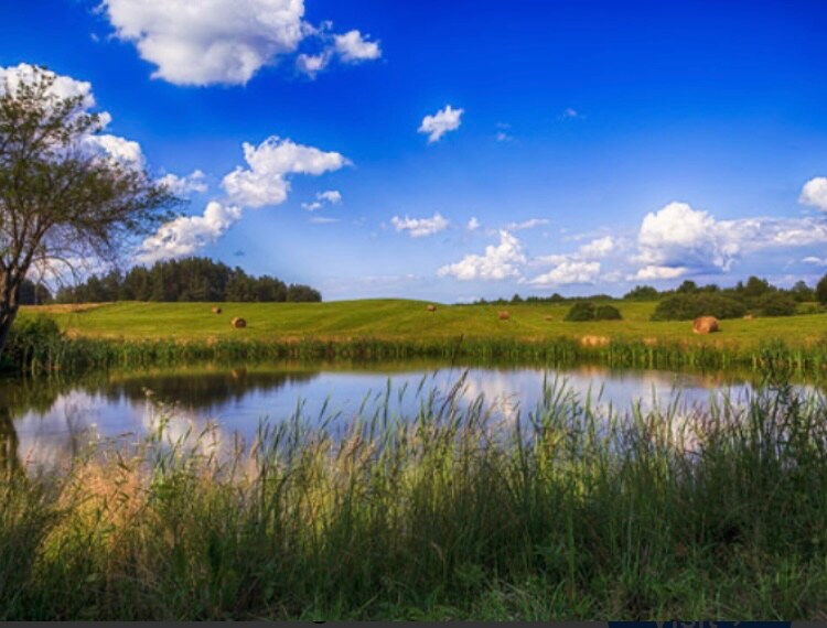 Building Photo - 16385 Hwy D