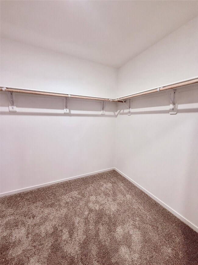 Building Photo - 6502 Tricolor Beech Ln