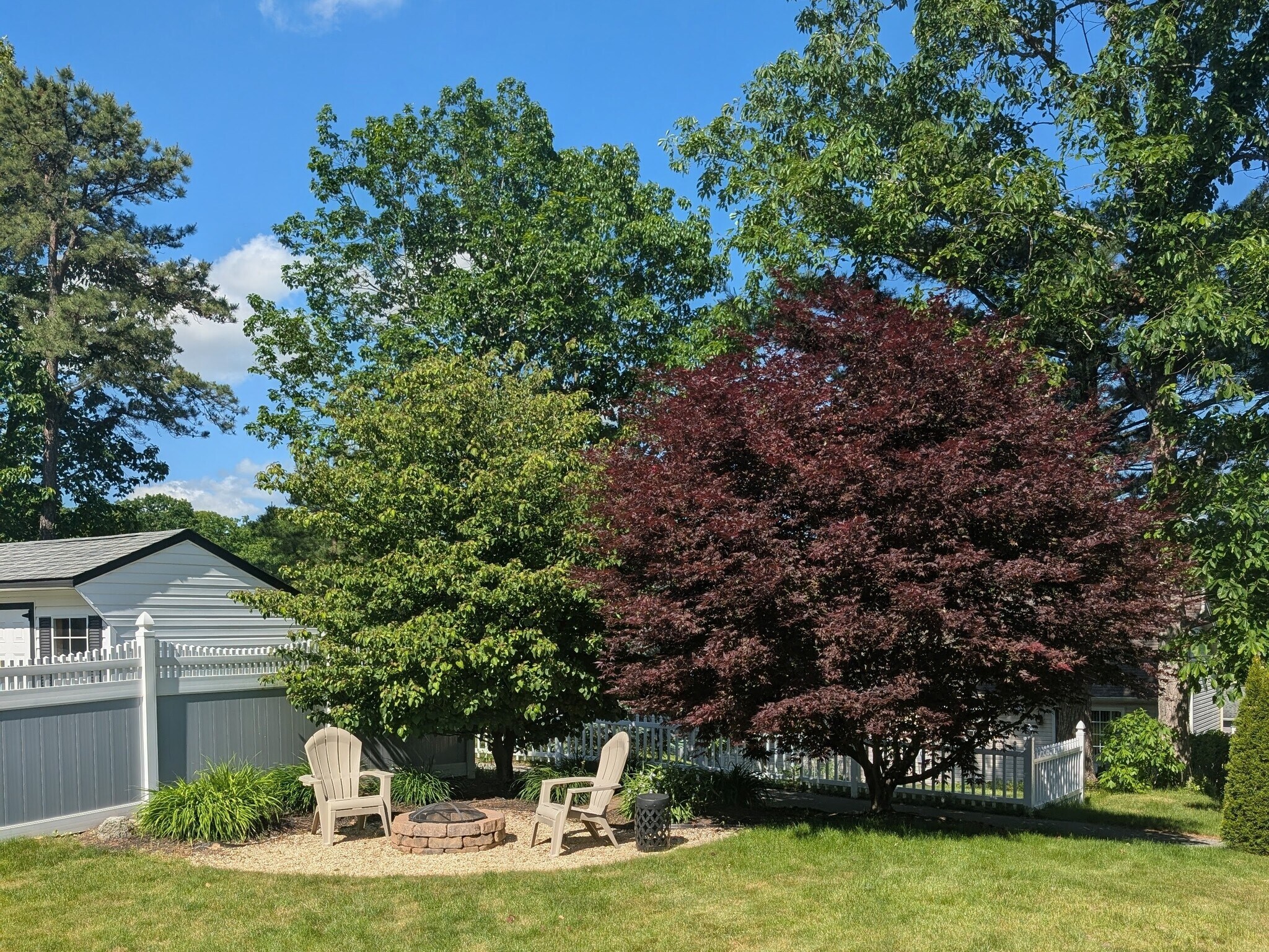 Building Photo - 109 Clemson Ct
