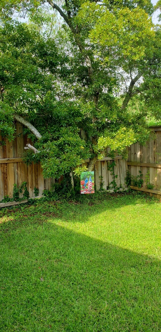 Backyard. Tennant maintains - 307 Halyard Ct