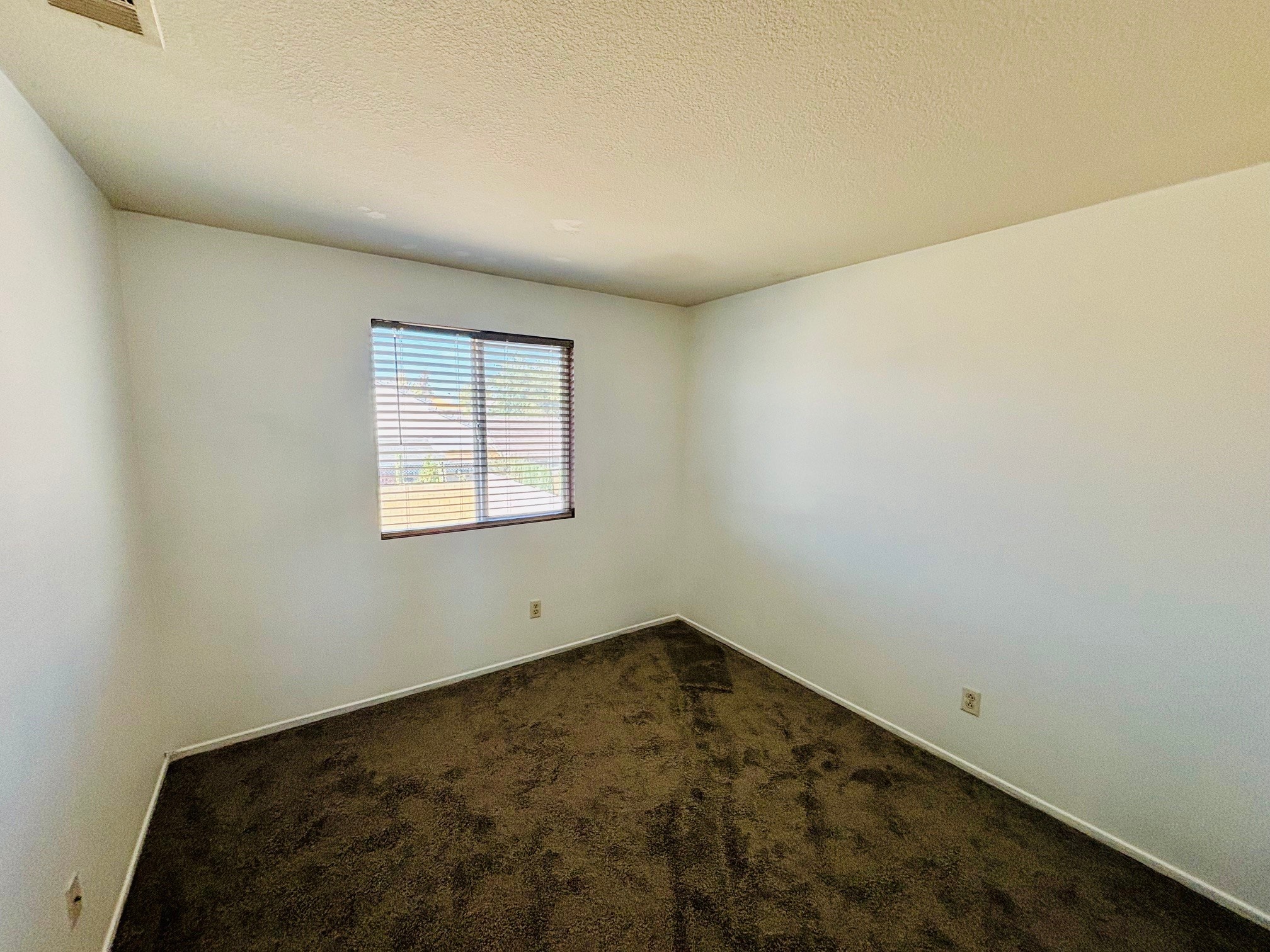 Building Photo - 37306 Wild Tree St