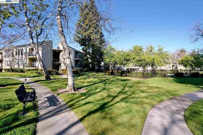 Building Photo - $2,990- GORGEOUS 2 BEDROOM CONDO IN CENTRA...