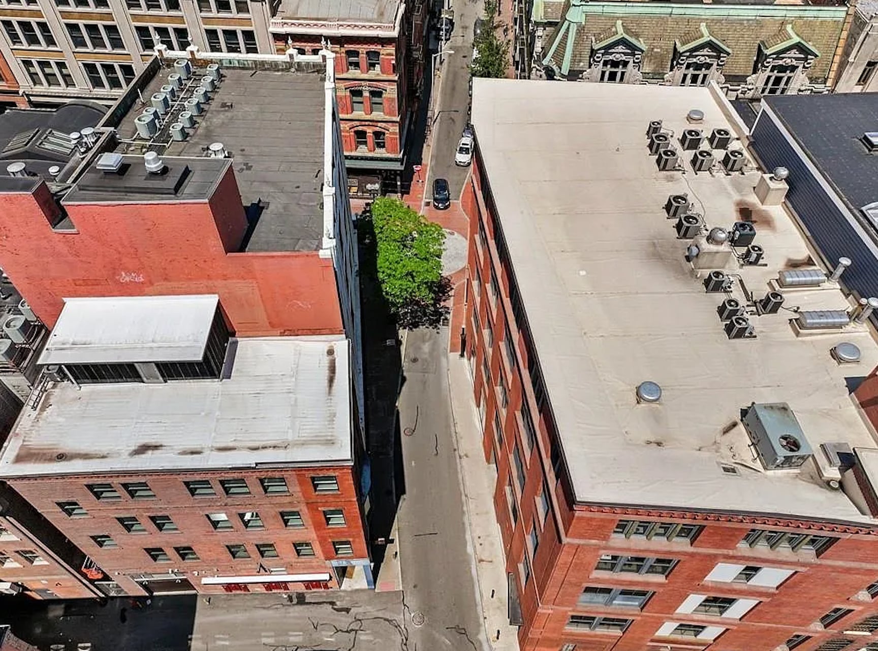 Building Photo - 93 Eddy St