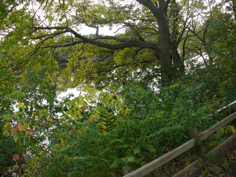 Building Photo - 11293 Edgemere Ter