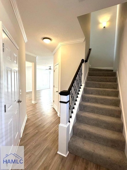 Building Photo - 156 Hamlet Ct