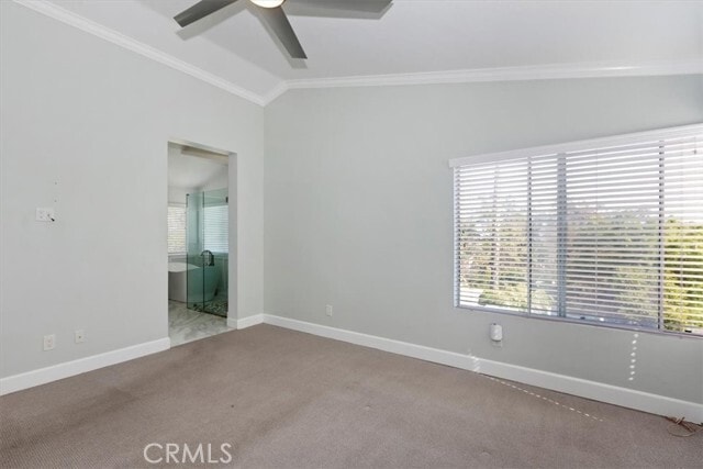 Building Photo - 2446 Cll Bienvenida