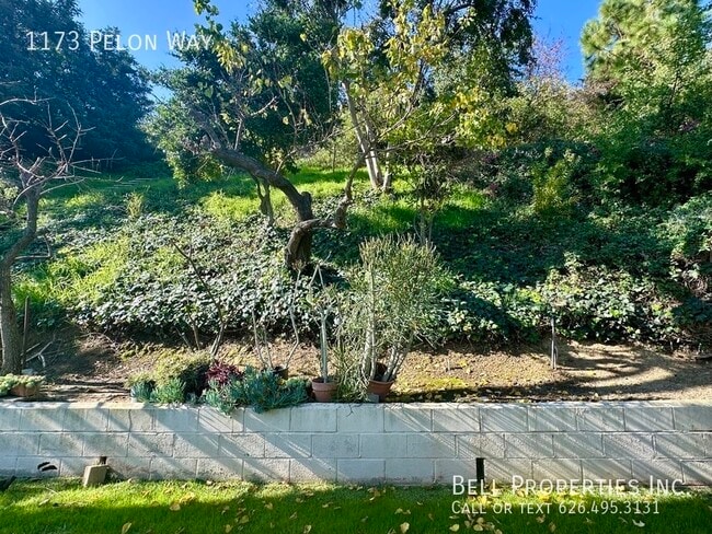 Building Photo - 1173 Pelon Way