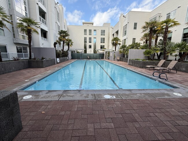 A sparkling swimming pool for your enjoyment and leisure. - 1655 N California Blvd