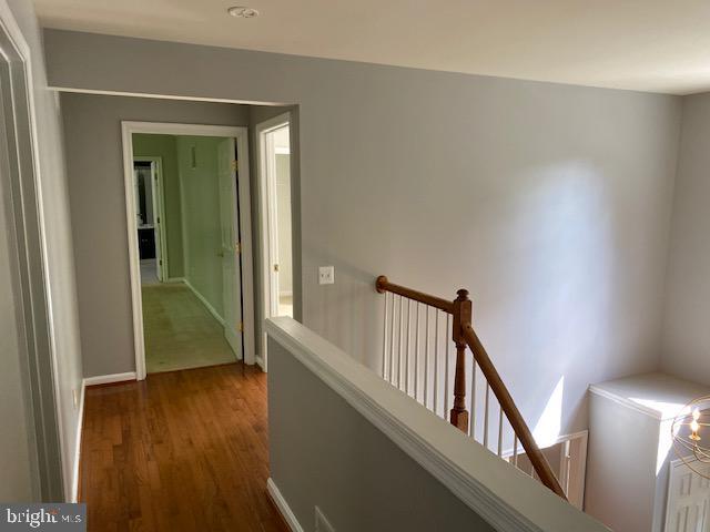 Building Photo - 20406 Rosemallow Ct