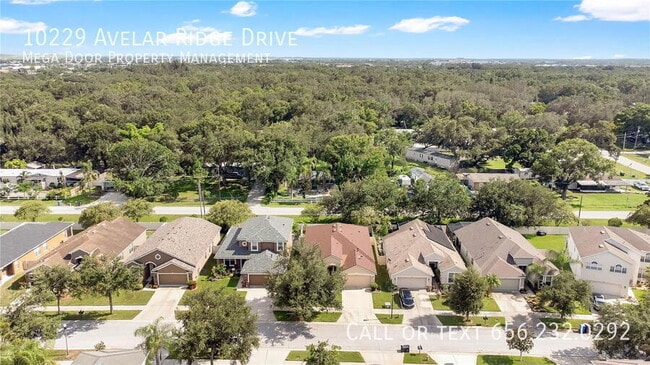 Building Photo - 10229 Avelar Ridge Dr