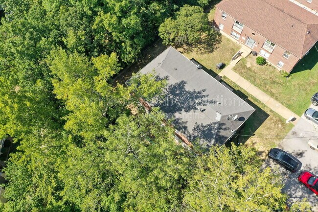 Building Photo - 334 Mt Everest Dr