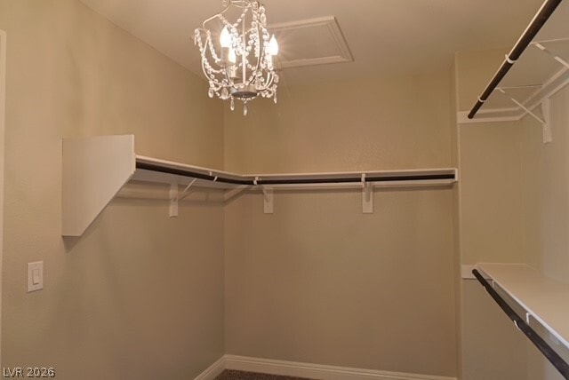 Building Photo - 531 Signal Peak St