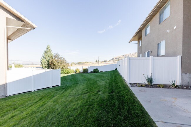 Back yard - 693 N 240 E