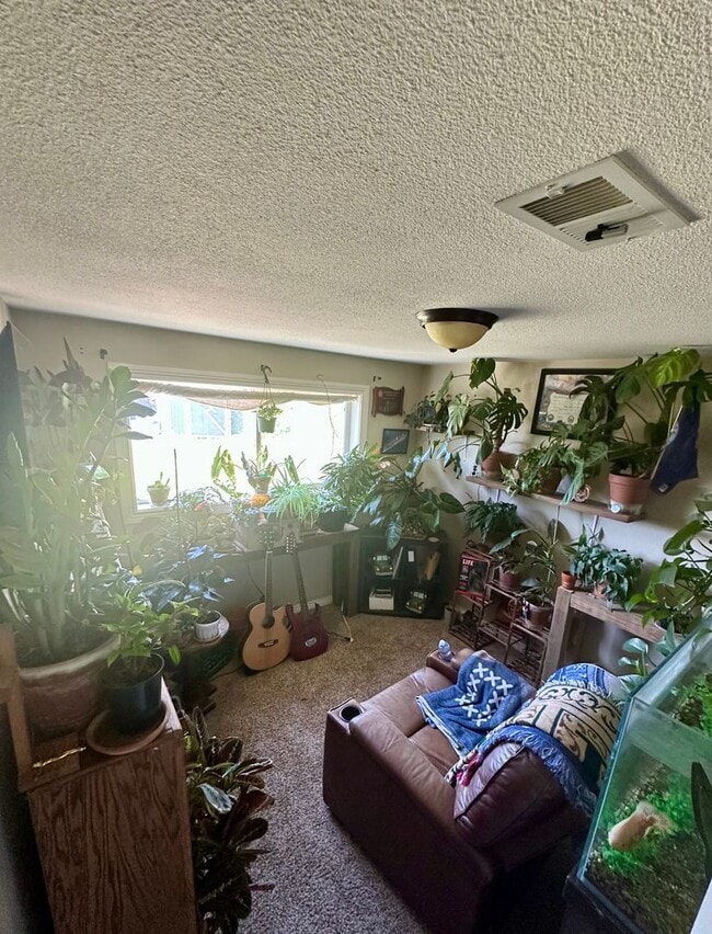 Building Photo - Charming 4 Bedroom Home w/ A/C in Security