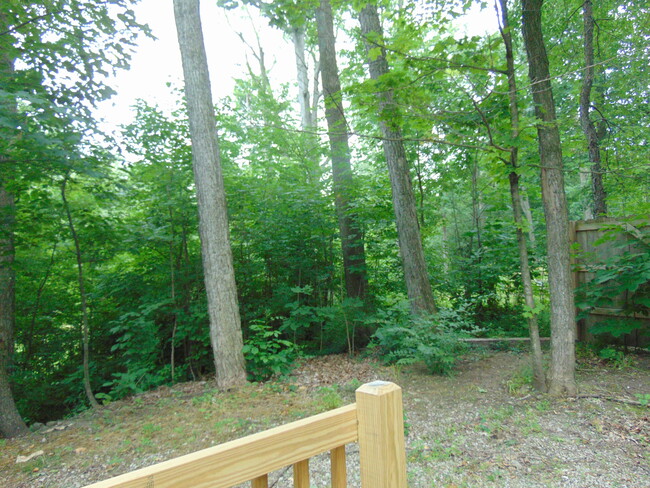 Building Photo - 11803 Sonata Dr