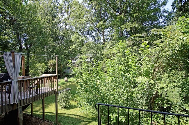 Building Photo - Dog-Friendly Rental Near Downtown & UVA