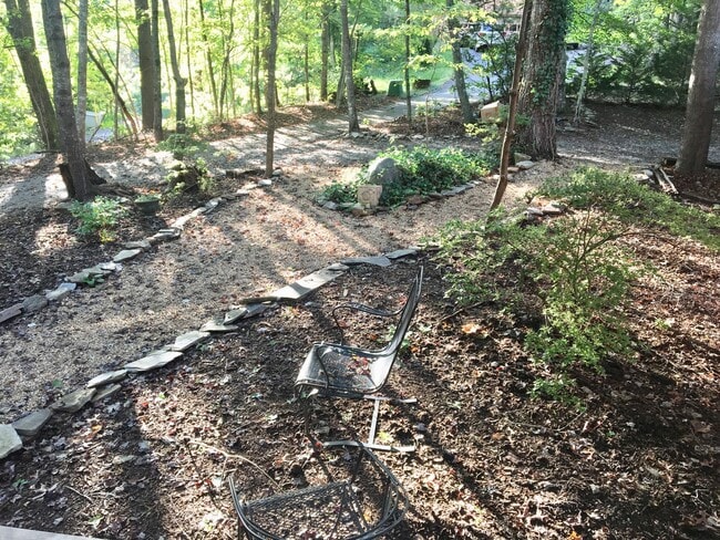 Building Photo - Black Mountain Rental