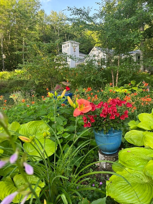 Building Photo - 586 Bunker Rd