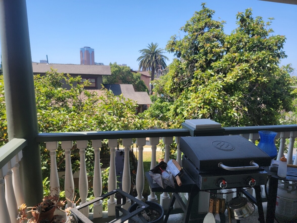 Back patio, to left is DT LB - 642 W 8th St