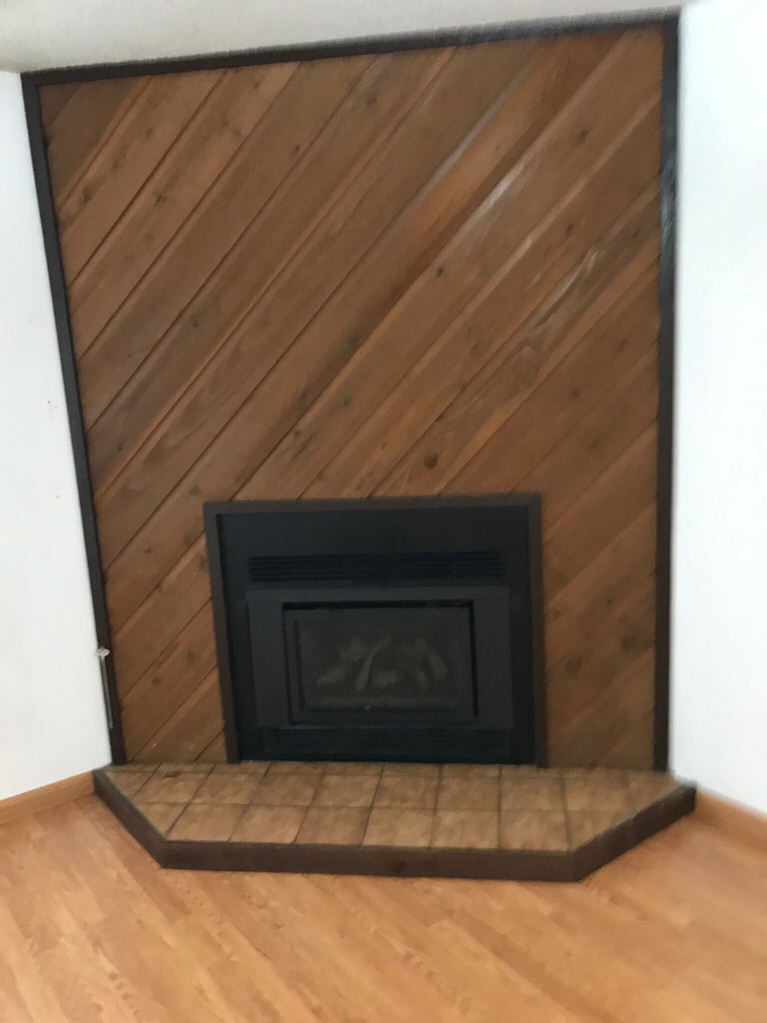 Gas fireplace in LR - 2902 Shadow Creek Dr