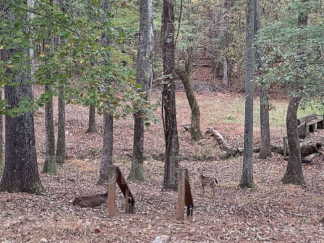 Building Photo - 150 Drennan Dr