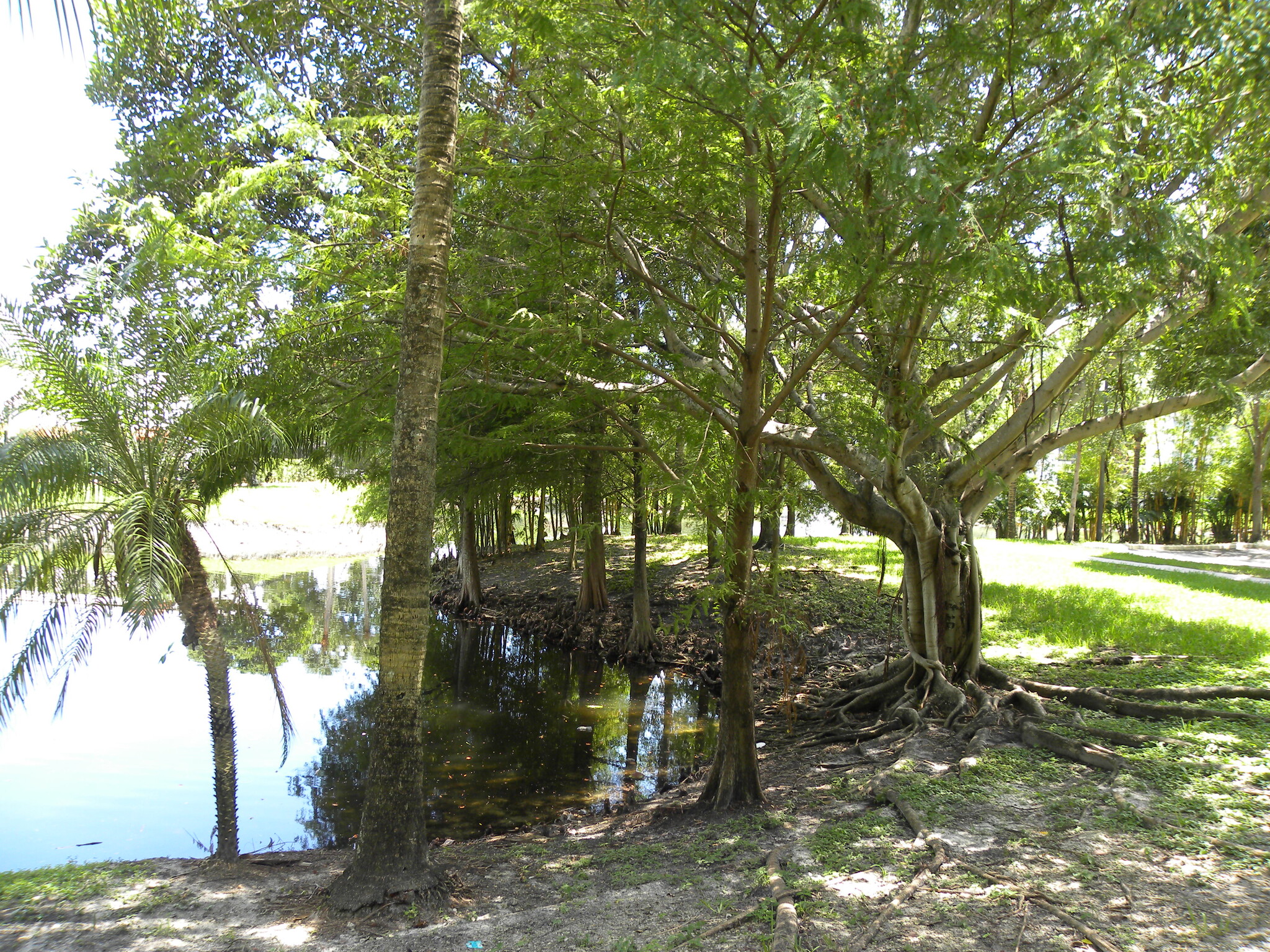 Building Photo - 761 N Pine Island Rd