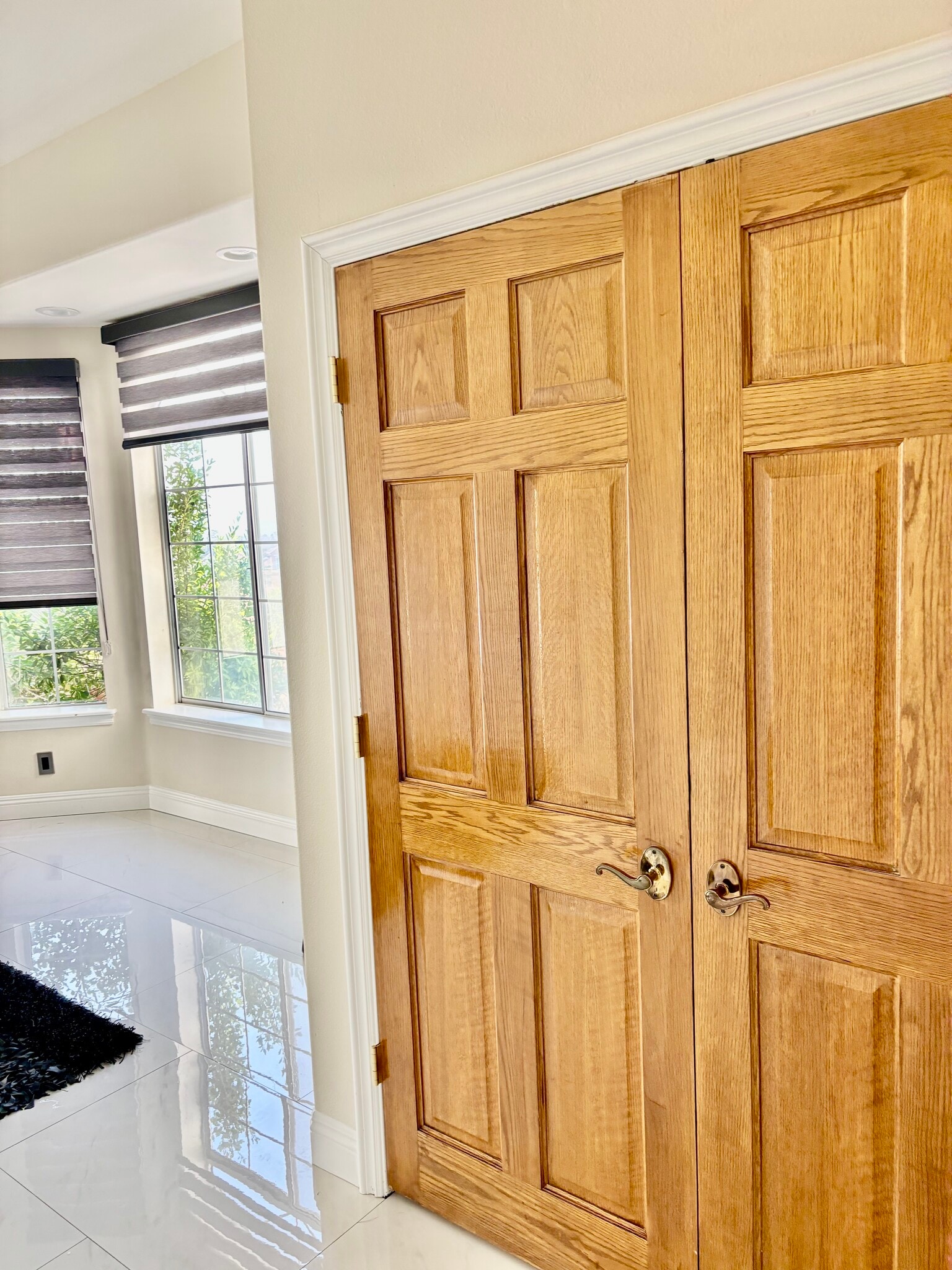 Walk-in closet - 238 Lakeview Dr