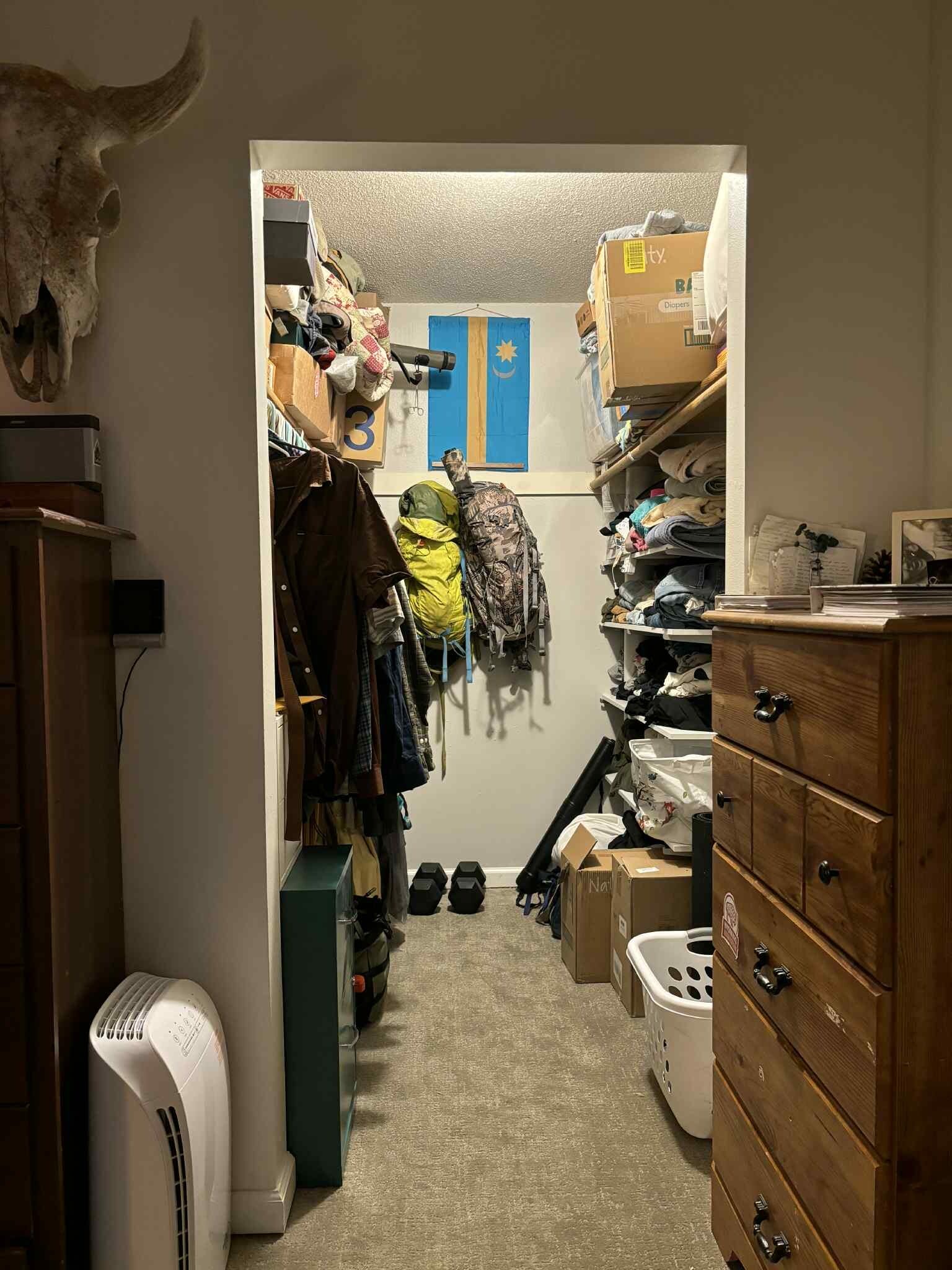 Walk in Closet with Shelving - 332 E Main St