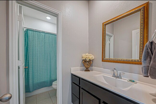 Building Photo - 2805 Vanilla Sky Ln