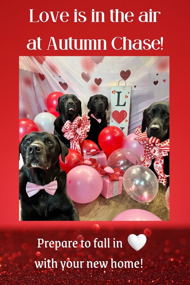 Building Photo - Waived app fees until Valentine’s Day! Check out this ??sweetheart?? of a deal!