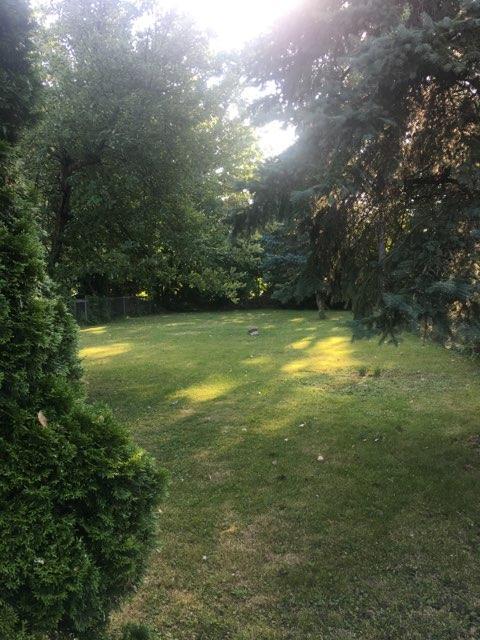 Building Photo - 12526 Hipp St