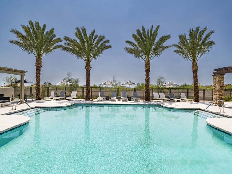 Dive into relaxation at Aster Ridge’s resort-style pool, where comfort meets luxury under the Phoenix sun. - Amavi Aster Ridge