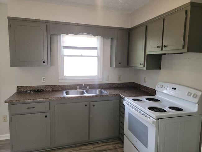 Building Photo - Henry County:  3 bedrooms, 1 Bonus, and 2 baths