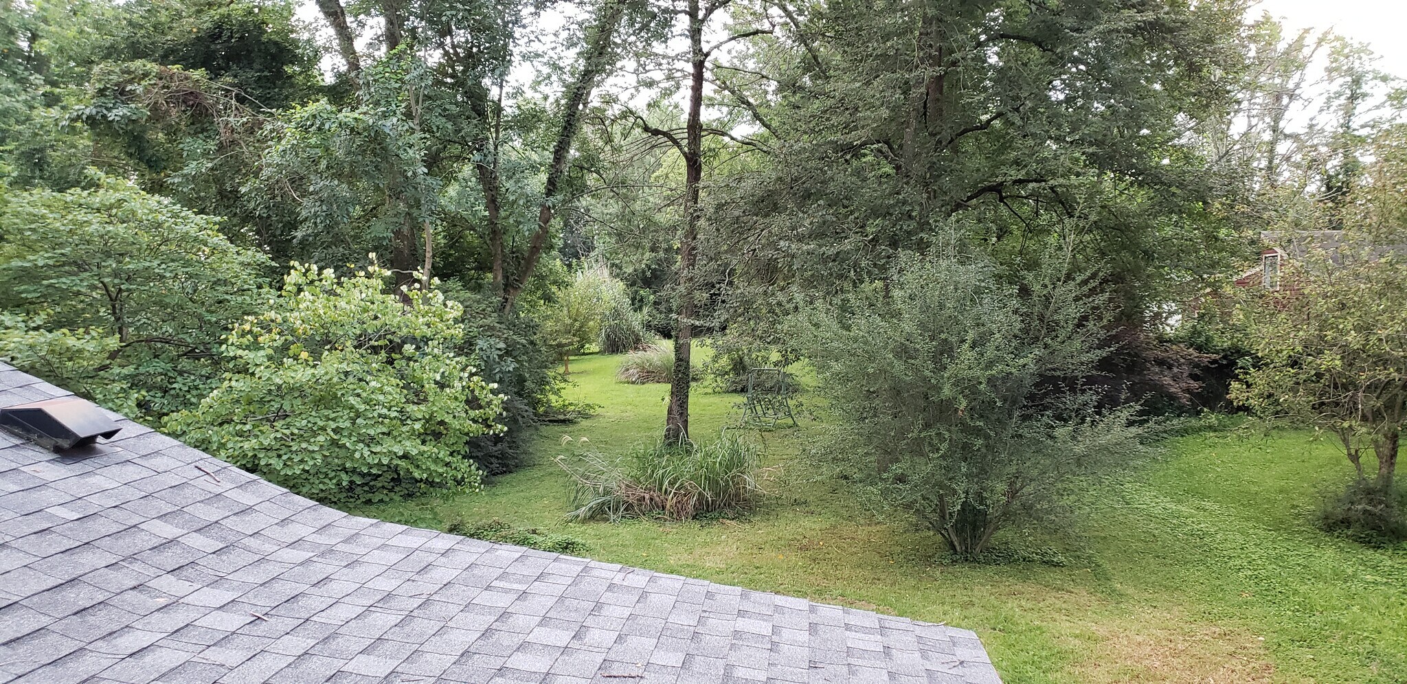 Beautiful view of the private backyard, perfect for families with children or pets. - 10106 Wingfield Rd