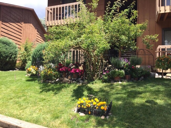 Primary Photo - 1 Bedroom 1 Bath with Garage