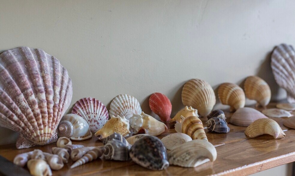 Coastal Theme - 1507 San Jose St