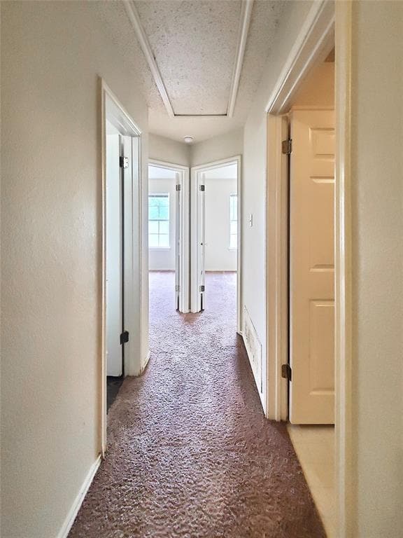 Building Photo - 16715 Tomcat Dr