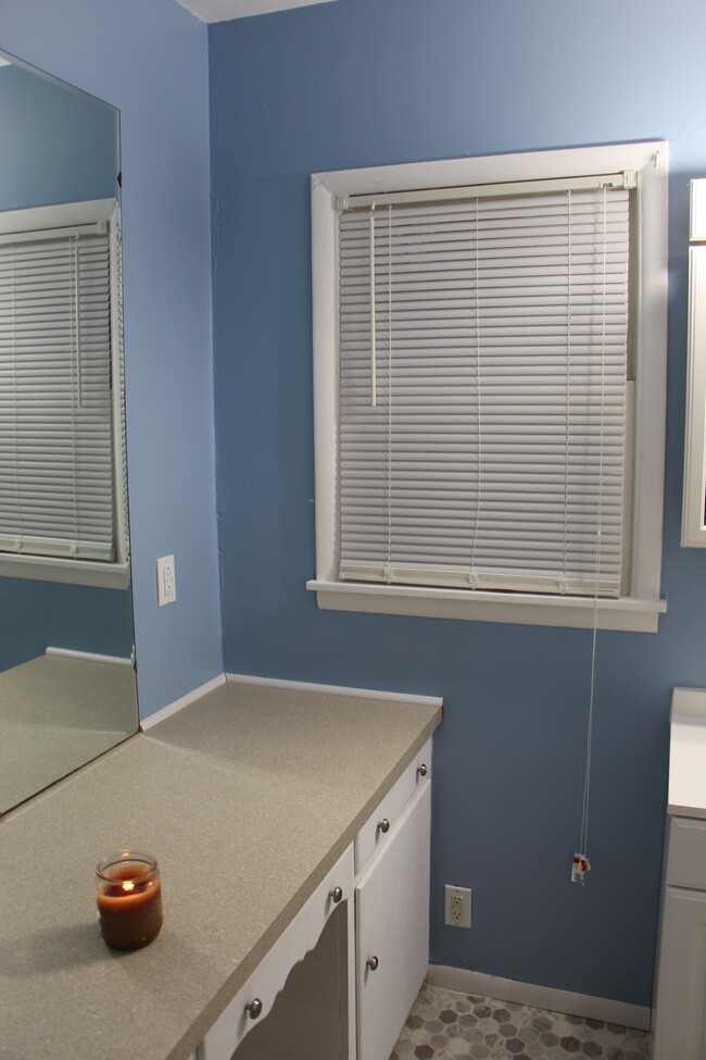 Master Bathroom - 815 W Maple St