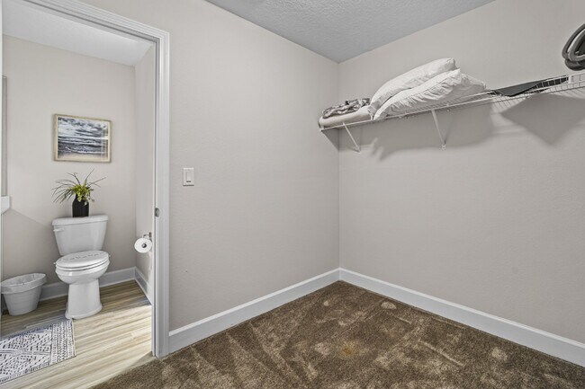 Building Photo - "Luxurious Furnished Home with 4-Bed, 3-Bath, Swim Spa Fenced Yard Golf Cart steps to the beach!"