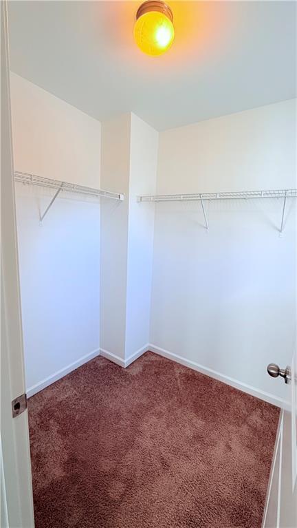 Building Photo - 2366 Proctor Creek Enclave