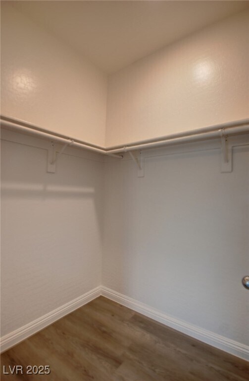Building Photo - 4465 Violet Flowers St
