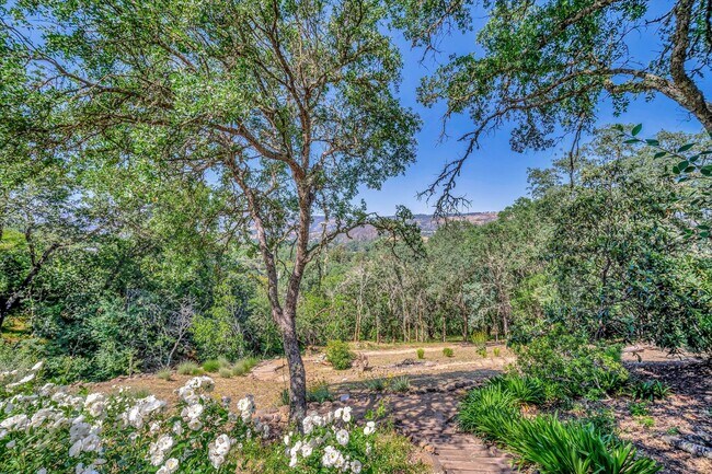 Building Photo - Welcome to Your Luxurious Napa Valley Retr...