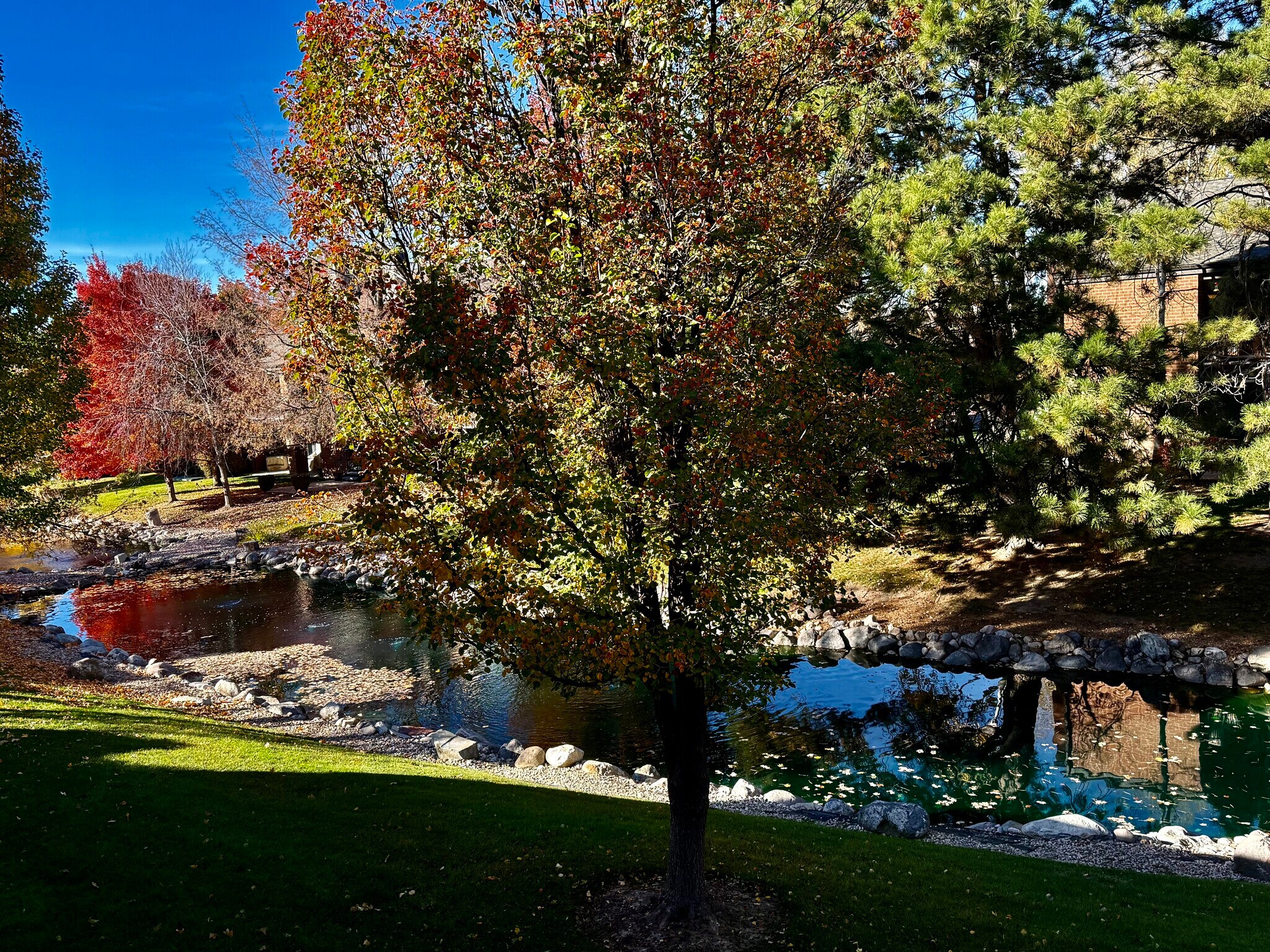 Building Photo - 1133 E Brickyard Rd