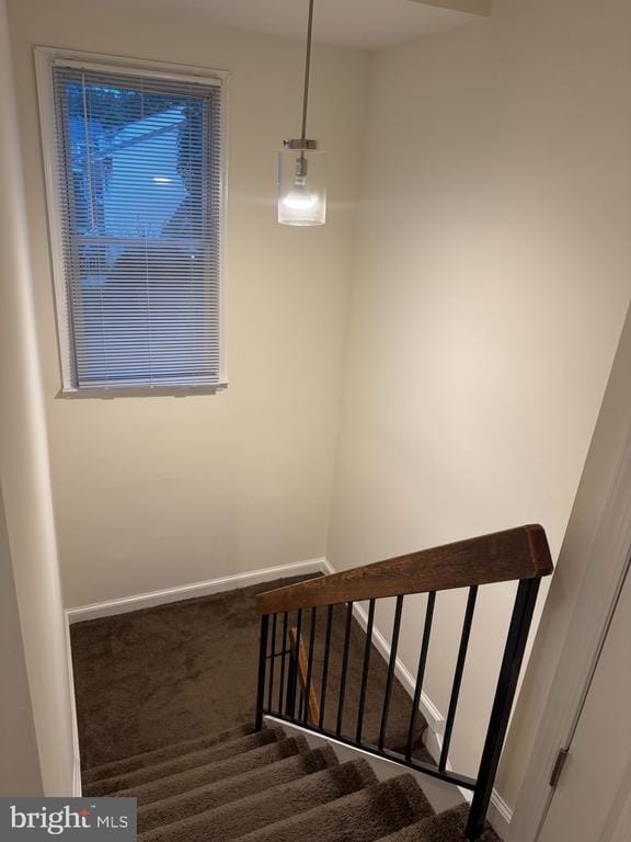 Building Photo - 6232 Targon Ct